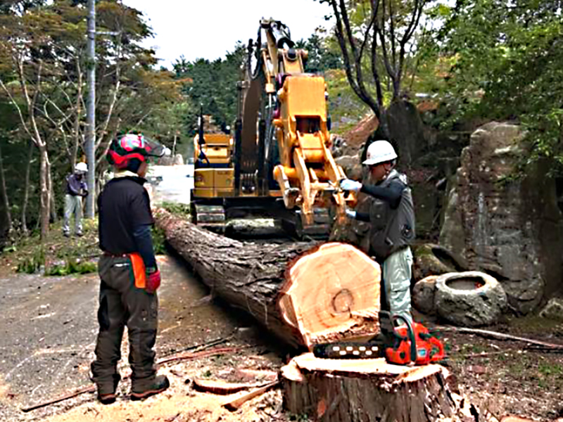 農福連携小農活動　ひろしま木こり屋BunBunBaum　山林管理の仕事広がる